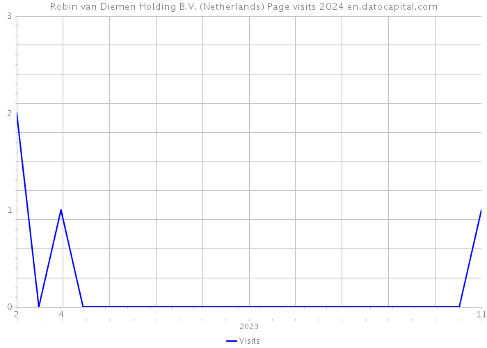 Robin van Diemen Holding B.V. (Netherlands) Page visits 2024 