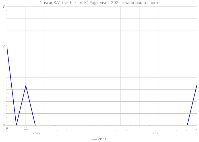 Nusrat B.V. (Netherlands) Page visits 2024 