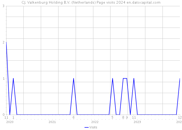 CJ. Valkenburg Holding B.V. (Netherlands) Page visits 2024 