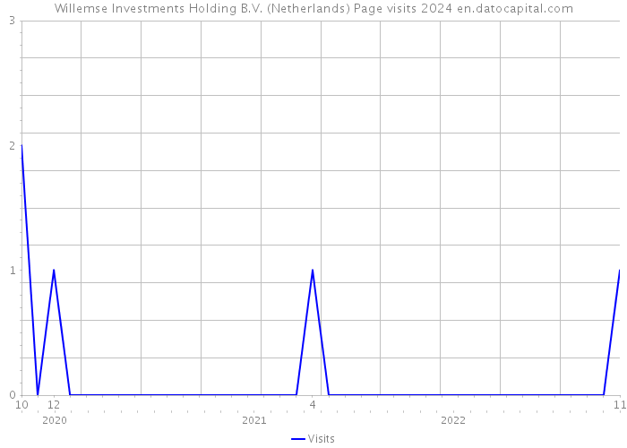 Willemse Investments Holding B.V. (Netherlands) Page visits 2024 