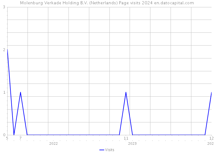 Molenburg Verkade Holding B.V. (Netherlands) Page visits 2024 