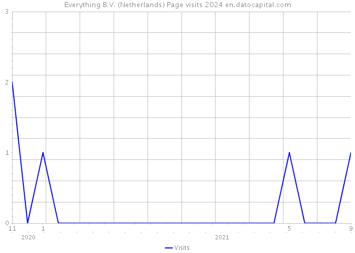 Everything B.V. (Netherlands) Page visits 2024 