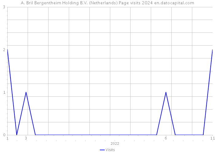 A. Bril Bergentheim Holding B.V. (Netherlands) Page visits 2024 