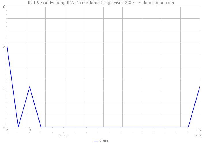 Bull & Bear Holding B.V. (Netherlands) Page visits 2024 