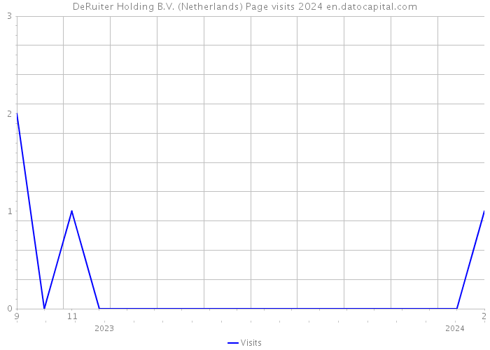 DeRuiter Holding B.V. (Netherlands) Page visits 2024 