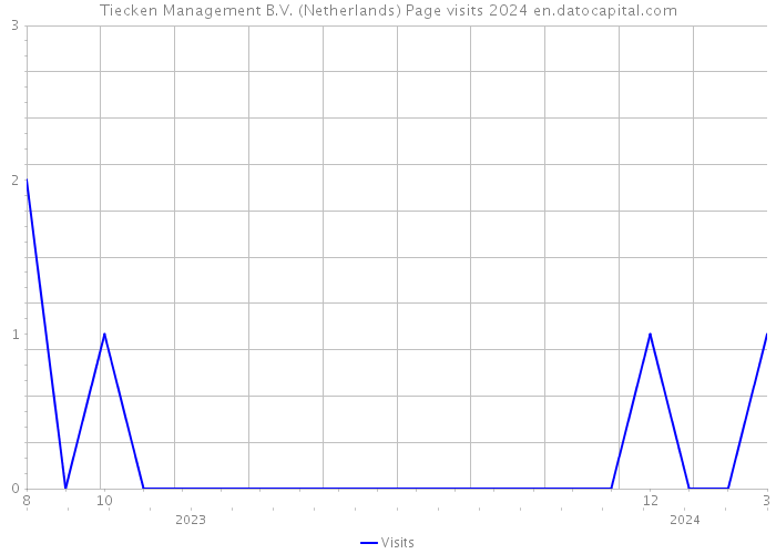 Tiecken Management B.V. (Netherlands) Page visits 2024 
