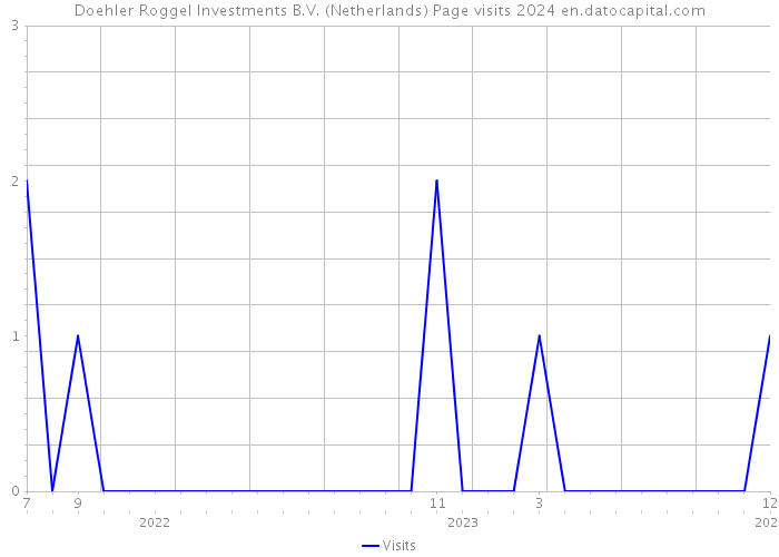 Doehler Roggel Investments B.V. (Netherlands) Page visits 2024 