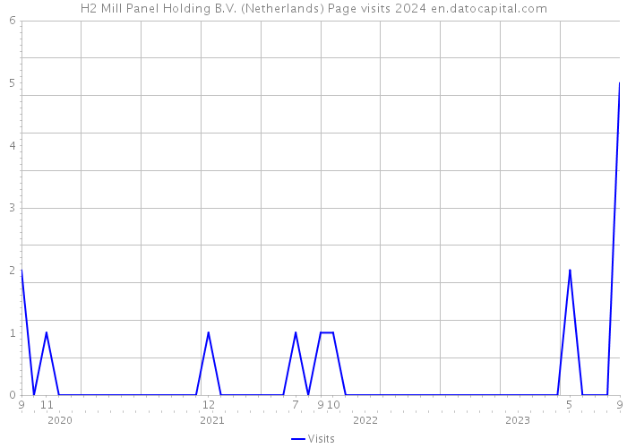 H2 Mill Panel Holding B.V. (Netherlands) Page visits 2024 