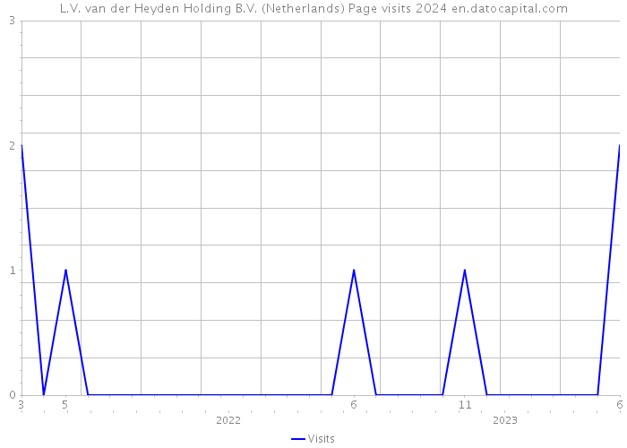 L.V. van der Heyden Holding B.V. (Netherlands) Page visits 2024 