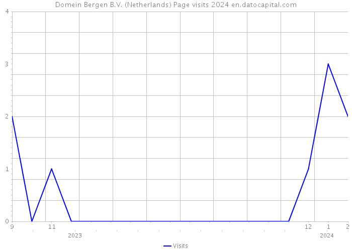 Domein Bergen B.V. (Netherlands) Page visits 2024 