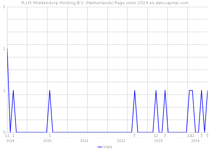 R.J.H. Middendorp Holding B.V. (Netherlands) Page visits 2024 