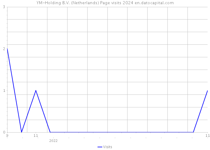 YM-Holding B.V. (Netherlands) Page visits 2024 