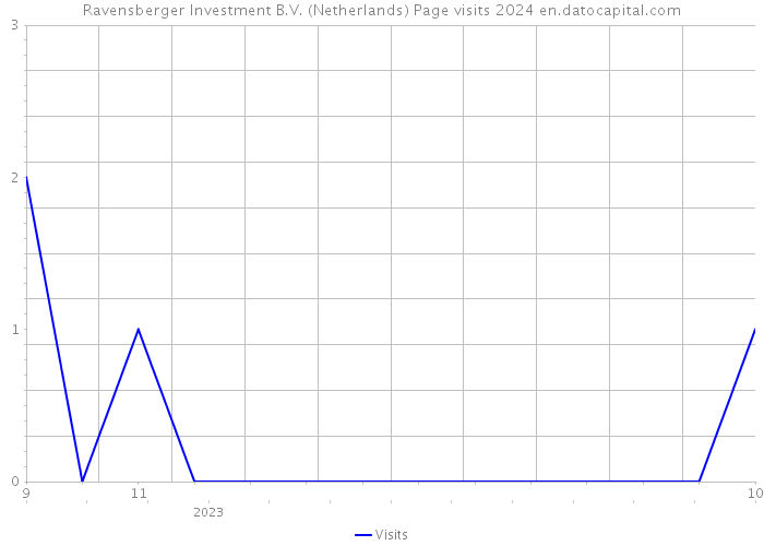 Ravensberger Investment B.V. (Netherlands) Page visits 2024 
