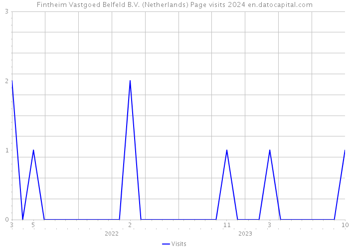 Fintheim Vastgoed Belfeld B.V. (Netherlands) Page visits 2024 
