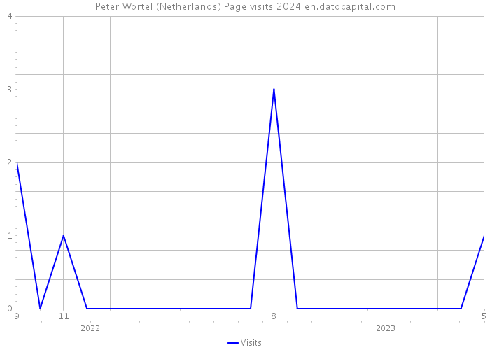 Peter Wortel (Netherlands) Page visits 2024 