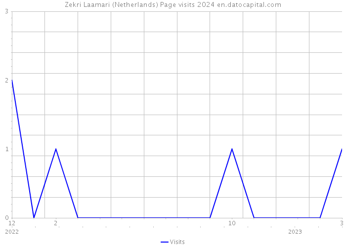 Zekri Laamari (Netherlands) Page visits 2024 