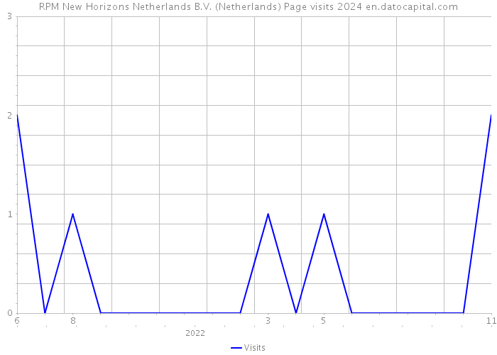RPM New Horizons Netherlands B.V. (Netherlands) Page visits 2024 