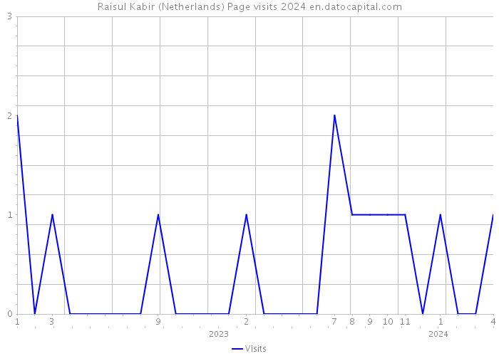 Raisul Kabir (Netherlands) Page visits 2024 
