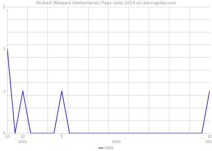 Michaël Wielaard (Netherlands) Page visits 2024 