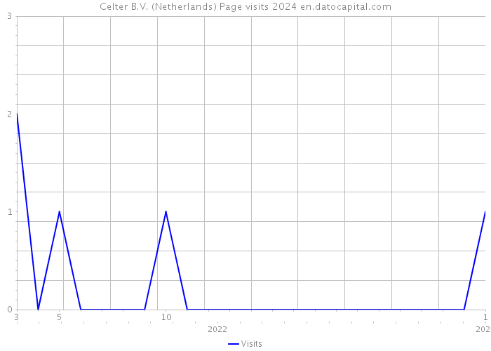 Celter B.V. (Netherlands) Page visits 2024 