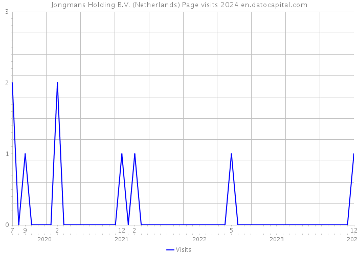Jongmans Holding B.V. (Netherlands) Page visits 2024 