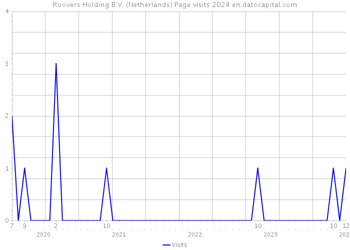 Roovers Holding B.V. (Netherlands) Page visits 2024 