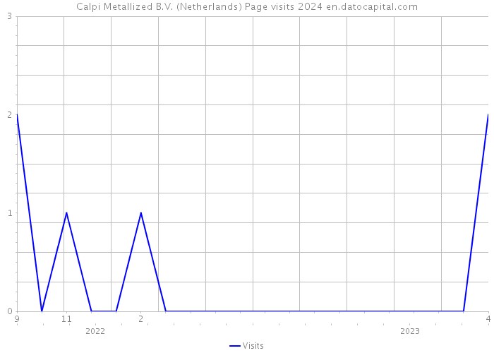 Calpi Metallized B.V. (Netherlands) Page visits 2024 