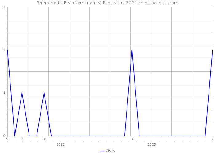 Rhino Media B.V. (Netherlands) Page visits 2024 