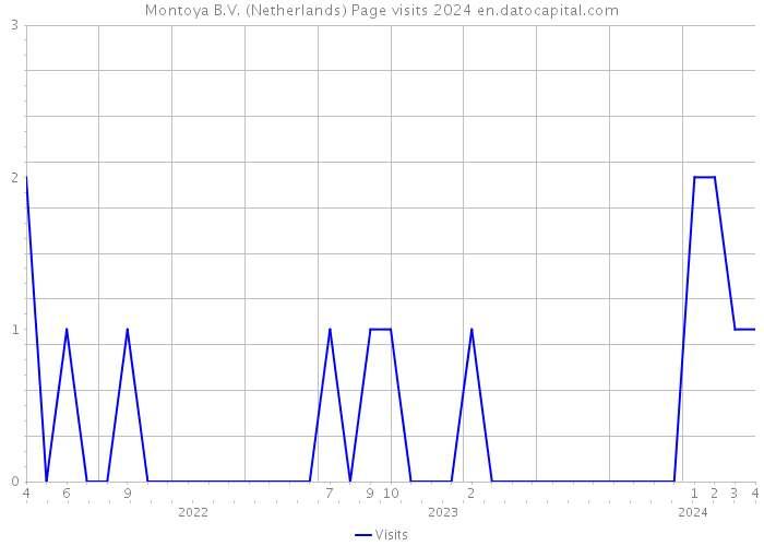 Montoya B.V. (Netherlands) Page visits 2024 