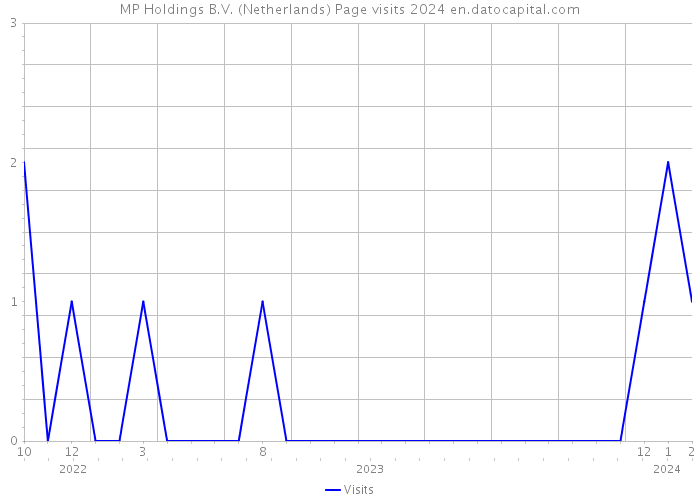 MP Holdings B.V. (Netherlands) Page visits 2024 