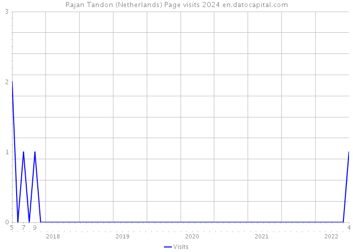 Rajan Tandon (Netherlands) Page visits 2024 