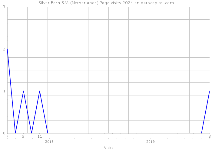 Silver Fern B.V. (Netherlands) Page visits 2024 