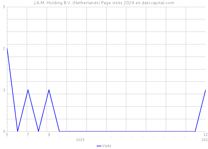 J.A.M. Holding B.V. (Netherlands) Page visits 2024 