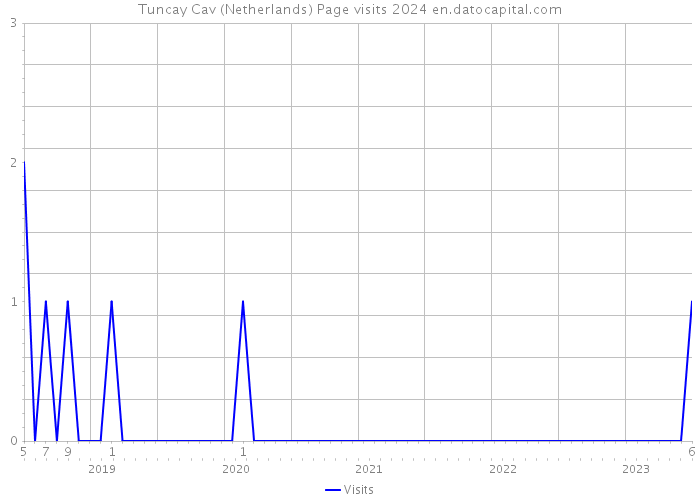 Tuncay Cav (Netherlands) Page visits 2024 