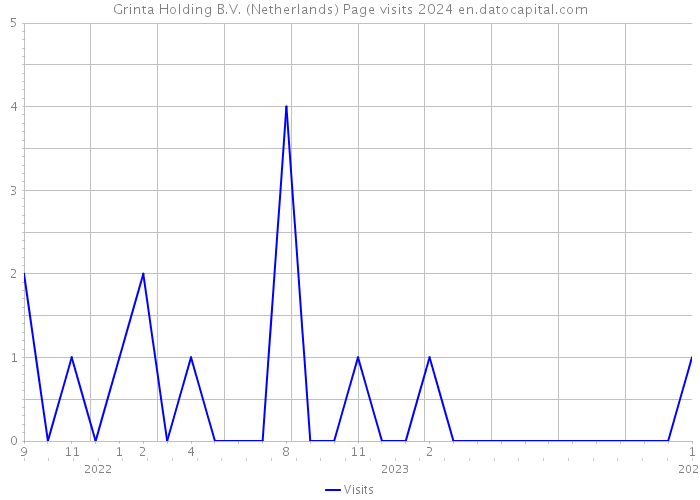 Grinta Holding B.V. (Netherlands) Page visits 2024 