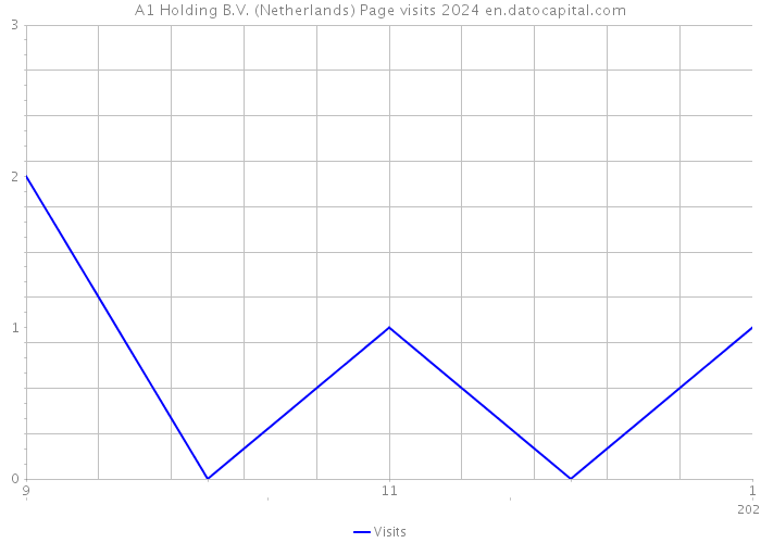 A1 Holding B.V. (Netherlands) Page visits 2024 
