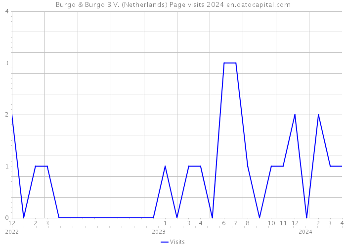 Burgo & Burgo B.V. (Netherlands) Page visits 2024 
