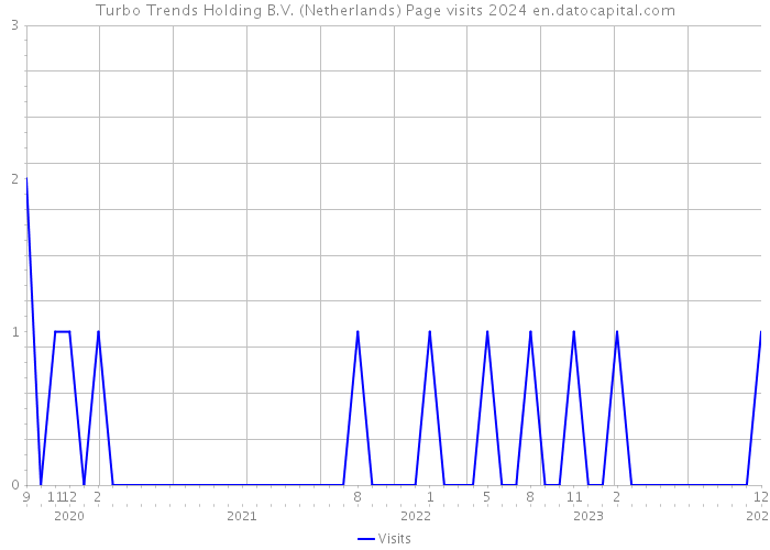 Turbo Trends Holding B.V. (Netherlands) Page visits 2024 