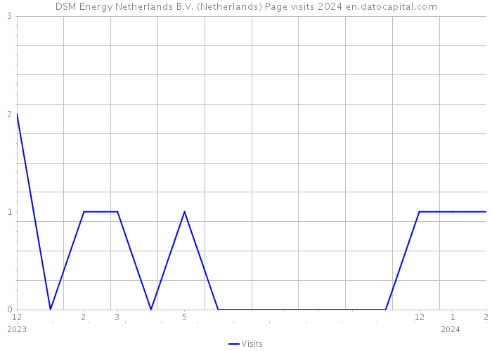 DSM Energy Netherlands B.V. (Netherlands) Page visits 2024 