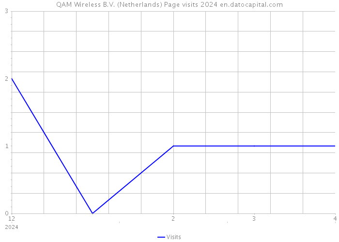 QAM Wireless B.V. (Netherlands) Page visits 2024 