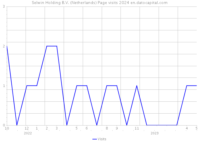 Selwin Holding B.V. (Netherlands) Page visits 2024 