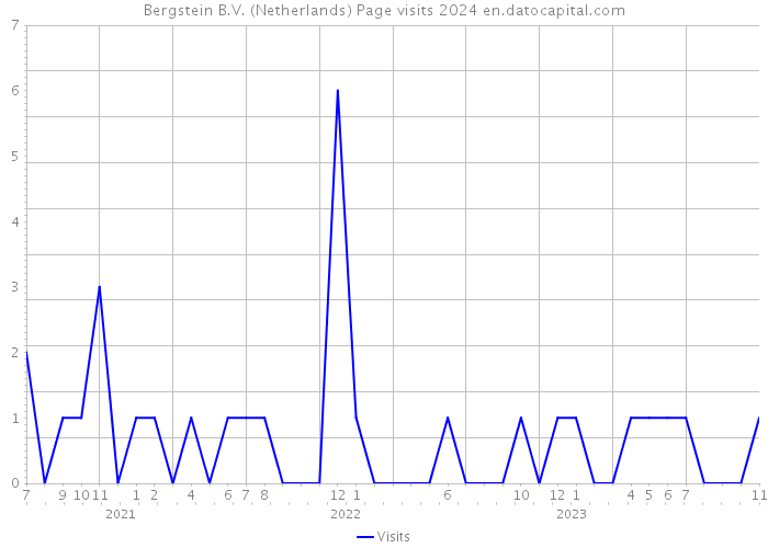 Bergstein B.V. (Netherlands) Page visits 2024 