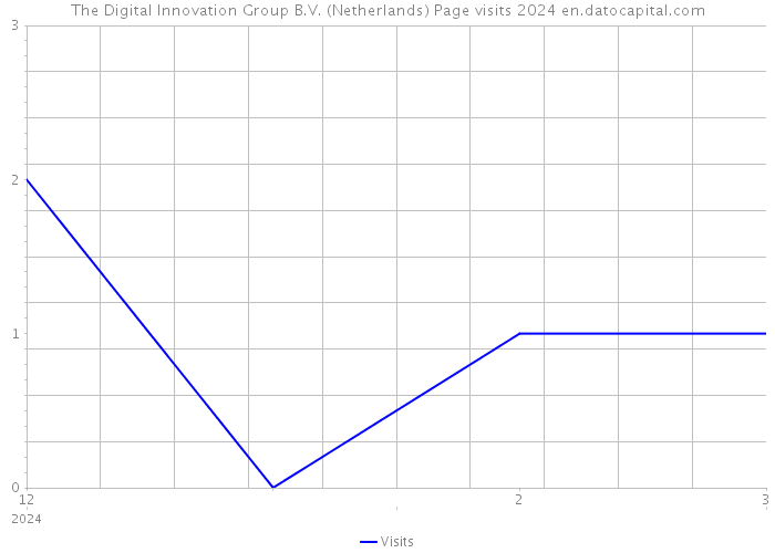 The Digital Innovation Group B.V. (Netherlands) Page visits 2024 