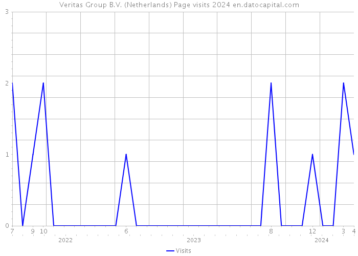 Veritas Group B.V. (Netherlands) Page visits 2024 