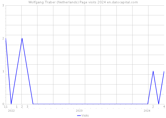 Wolfgang Traber (Netherlands) Page visits 2024 