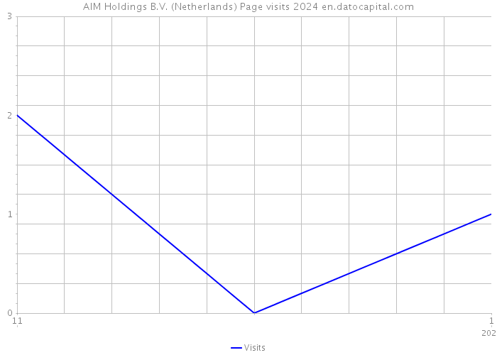 AIM Holdings B.V. (Netherlands) Page visits 2024 