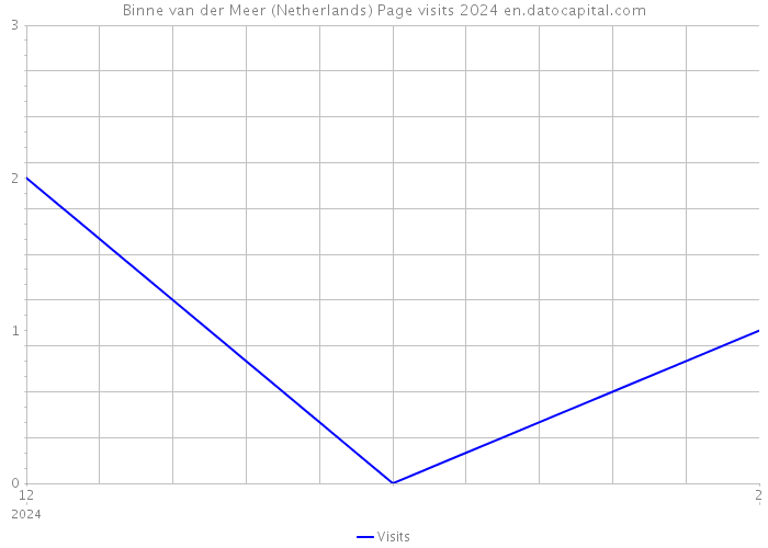 Binne van der Meer (Netherlands) Page visits 2024 
