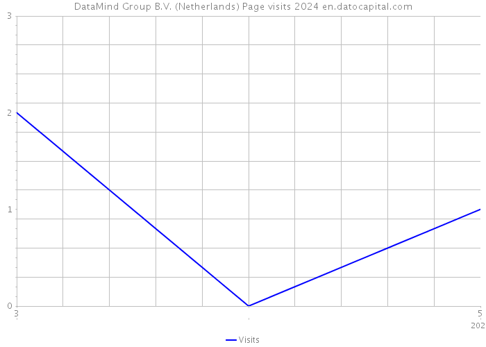 DataMind Group B.V. (Netherlands) Page visits 2024 