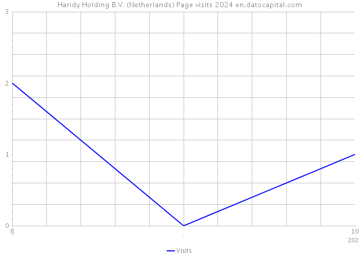 Haridy Holding B.V. (Netherlands) Page visits 2024 