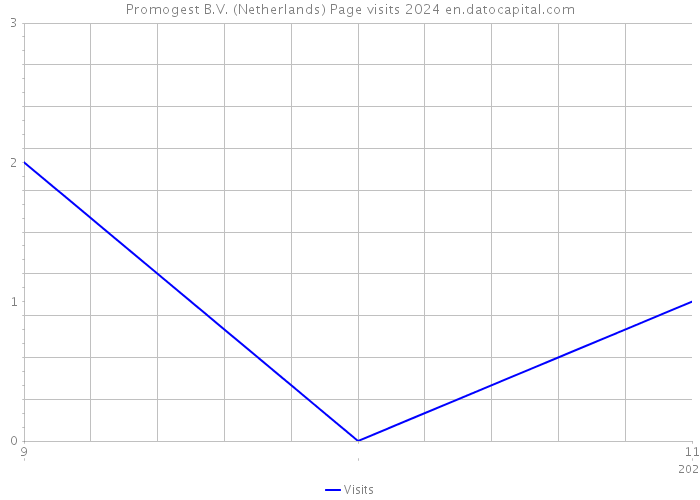 Promogest B.V. (Netherlands) Page visits 2024 